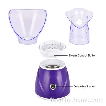 Vaporisateur facial Nano Ionic Hot Mist Humidifier Atomizer